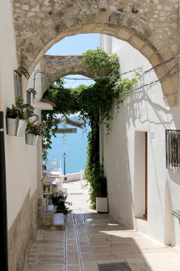 Piazzetta Petrone Apartments + Parking Vieste Exteriör bild