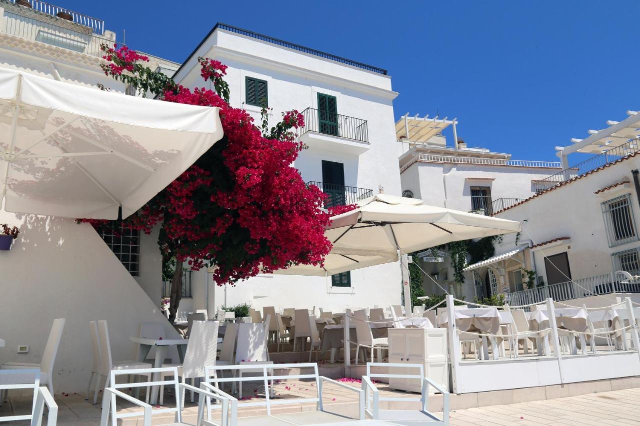 Piazzetta Petrone Apartments + Parking Vieste Exteriör bild